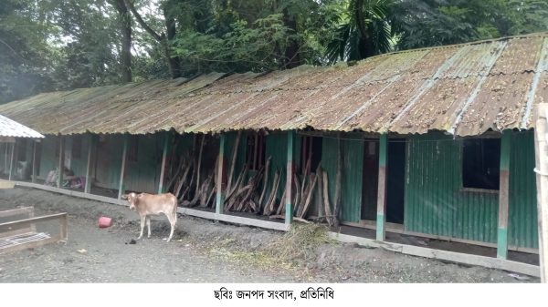 দুমকিতে অবকাঠামো থাকলেও নেই শিক্ষক-শিক্ষার্থী