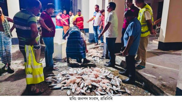 কুয়াকাটায় ৫০ কেজি জাটকা ইলিশ জব্দ: মাছ বিতরণ এতিমখানায়