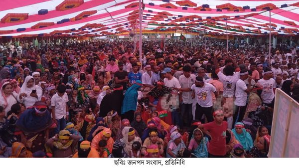 বানারীপাড়ায় জাতীয় বিপ্লব ও সংহতি দিবস পালন