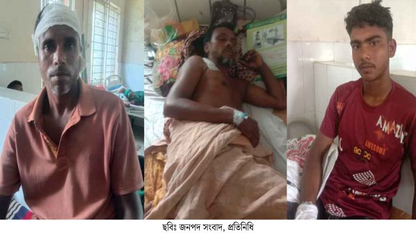 গরু ধানের চারা খাওয়ায় বাকবিতণ্ডা, ৩ জনকে পিটিয়ে জখম