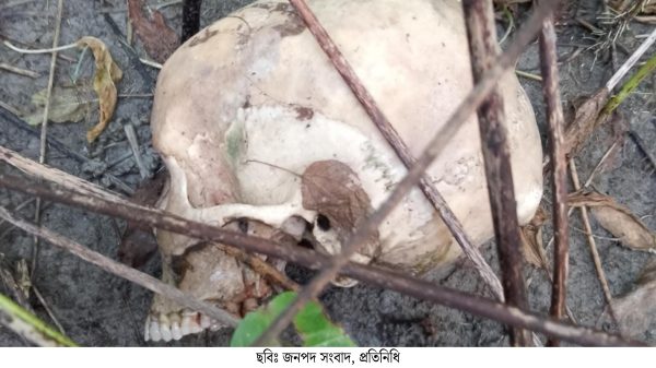 শিবগঞ্জে পাটক্ষেত থেকে অজ্ঞাত নারীর কঙ্কাল উদ্ধার