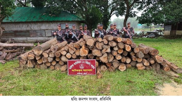 বাঘাইছড়িতে বিজিবির অভিযানে অবৈধ সেগুন কাঠ জব্দ