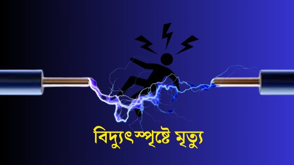 কুলিয়ারচরে জমিতে কাজ করার সময় বৈদ্যুতিক তার ছিঁড়ে পড়ে স্পৃষ্টে ২ কৃষকের মৃত্যু